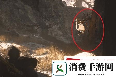 黑神话悟空落伽香藤全地图怎么收集