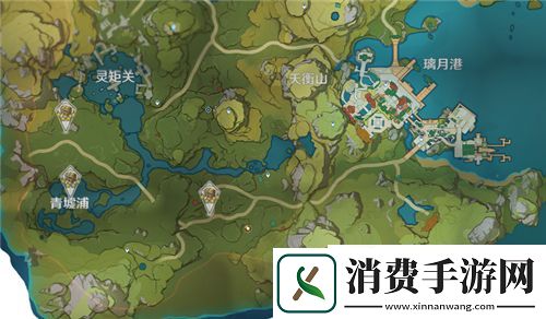 原神华丽的宝箱位置在哪