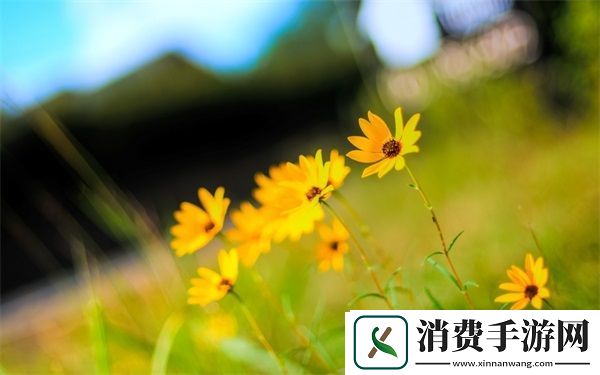 51cg热门大瓜今日吃瓜赵子涵：最新动态与未来展望
