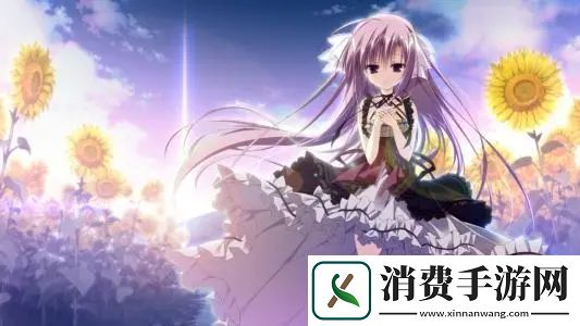 私人家庭影院3355