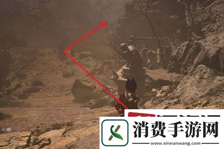 黑神话悟空落伽香藤全地图怎么收集