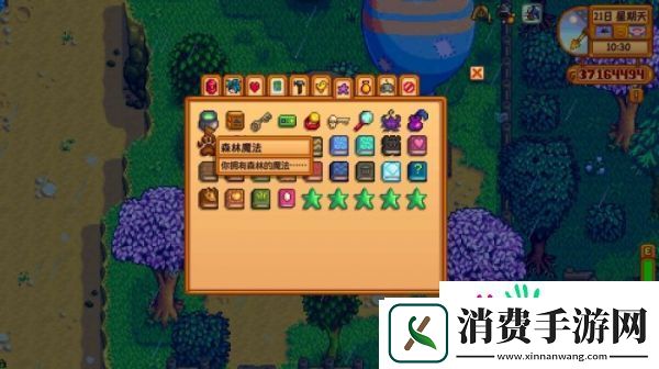 星露谷物语森林魔法有什么用
