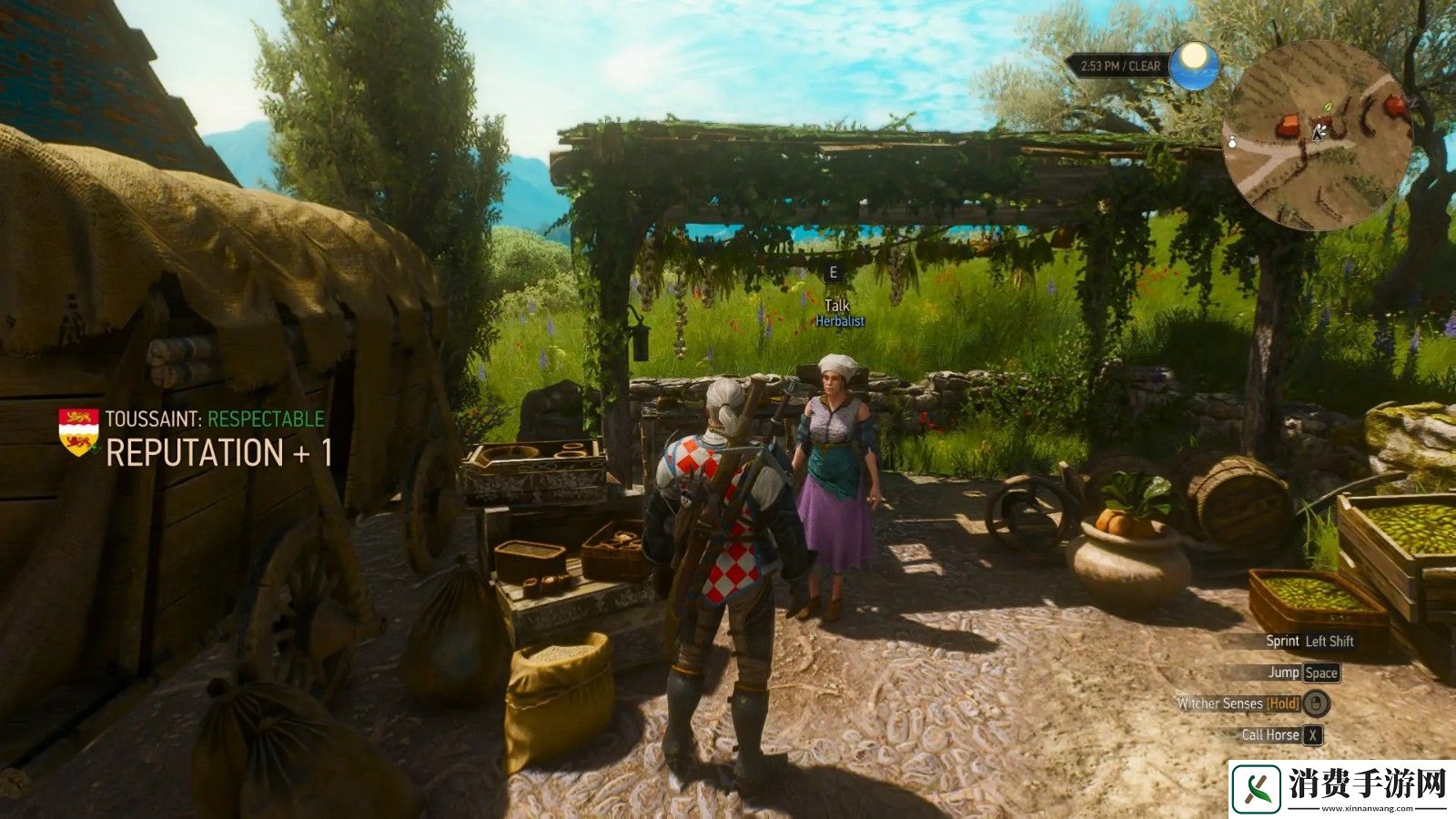巫师3全新Mod发布