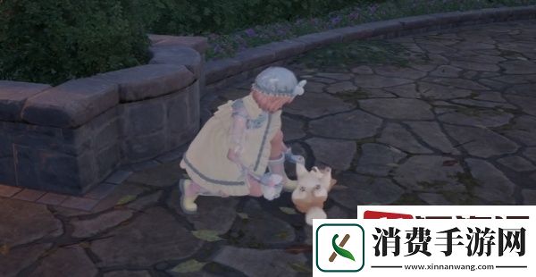 无限暖暖动物怎么清洁