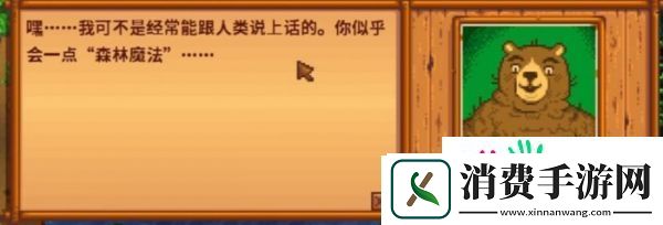 星露谷物语森林魔法有什么用