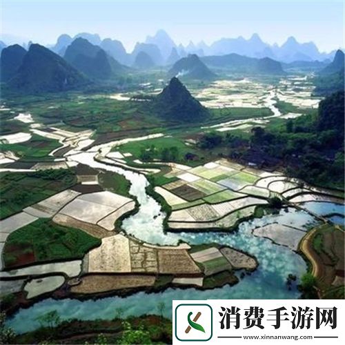 eezy蜜桃满天星