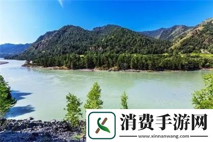 片多多电影电视剧影视剧