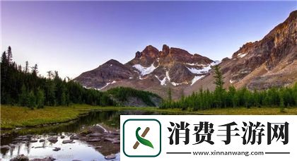 成色好的y31
