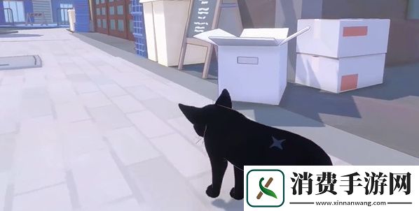 小猫咪大城市五个箱子在哪