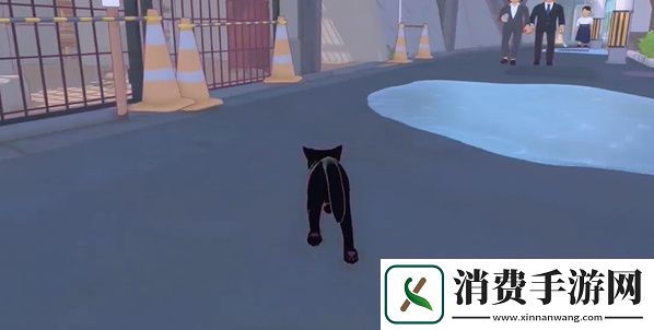 小猫咪大城市五个箱子在哪