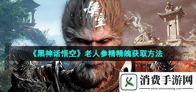 黑神话悟空老人参精精魄怎么获得老人参精精魄获取方法