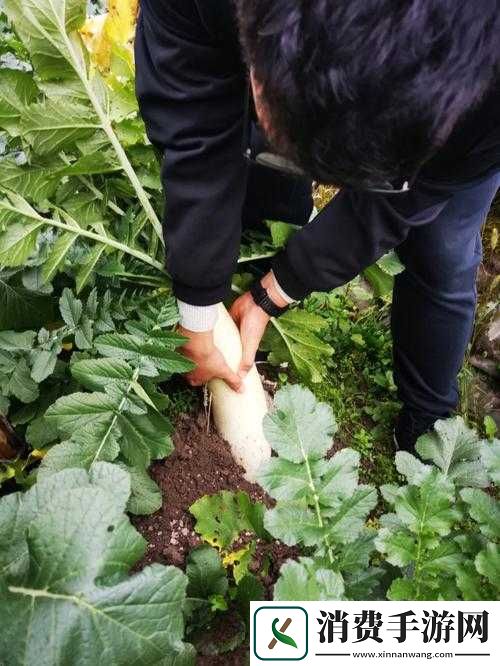 挤牛奶拔萝卜操作详细指南