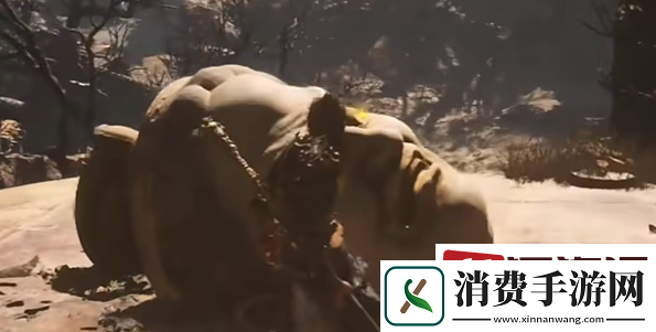 黑神话悟空佛目珠一共有几个