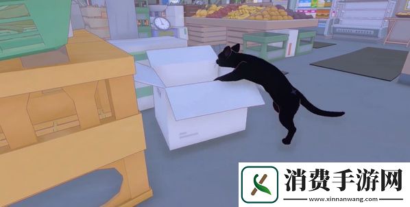 小猫咪大城市五个箱子在哪