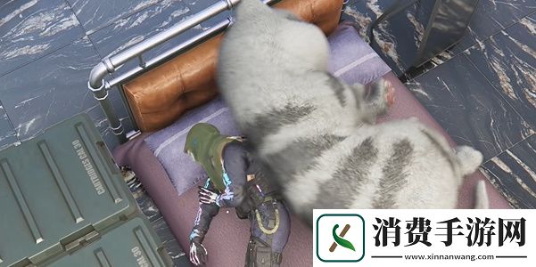 七日世界异维大猫位置在哪