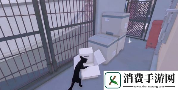 小猫咪大城市五个箱子在哪
