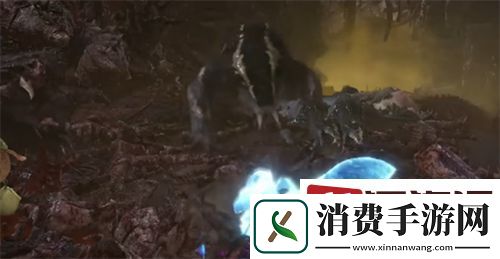 怪物猎人世界大头巾如何获得