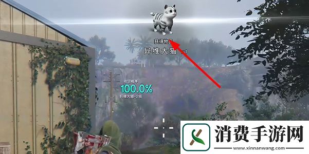七日世界异维大猫位置在哪