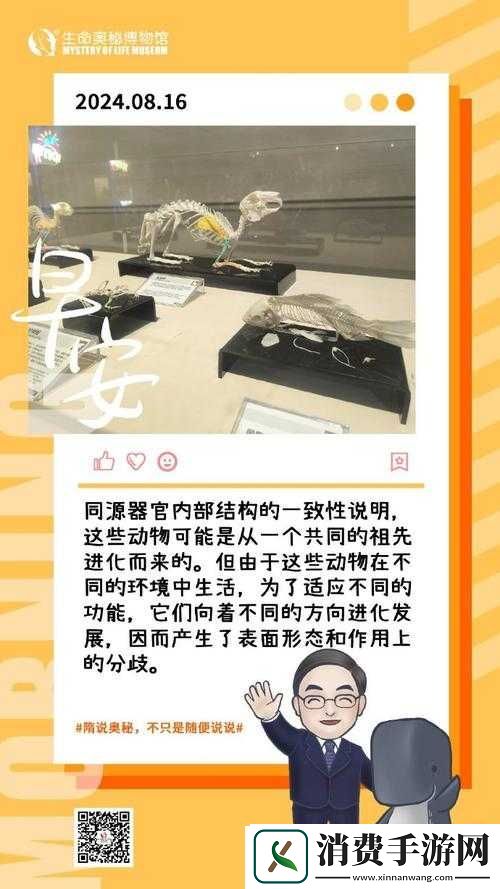 探秘国精产品-W灬源码-16：深入探究其奥秘