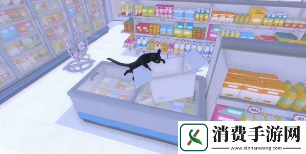 小猫咪大城市五个箱子在哪