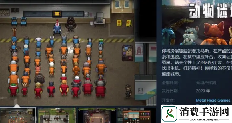 动物迷城配置要求高吗配置要求介绍