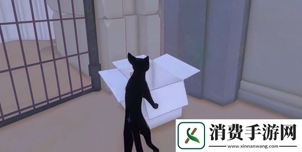 小猫咪大城市五个箱子在哪