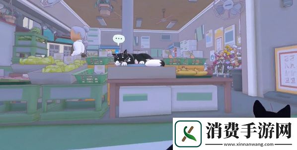 小猫咪大城市五个箱子在哪