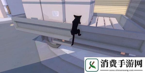 小猫咪大城市五个箱子在哪