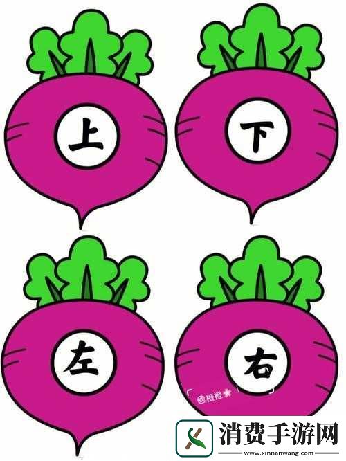 后二人世界拔萝卜