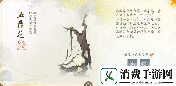 射雕手游赵王府梦华录怎么收集赵王府梦华录收集攻略