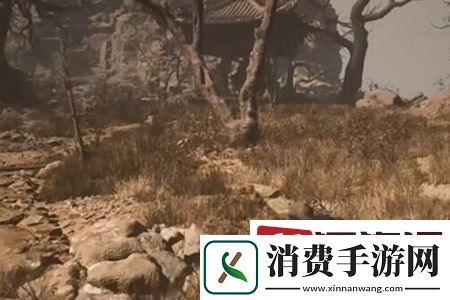 黑神话悟空沙门村宝箱位置在哪