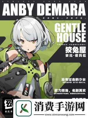 绝区零安比德玛拉装备