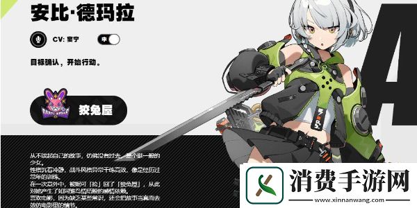 绝区零安比德玛拉装备