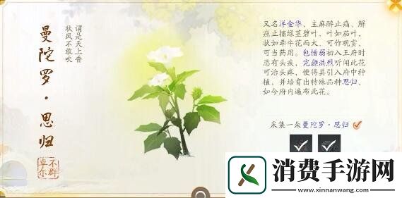 射雕手游赵王府梦华录怎么收集赵王府梦华录收集攻略