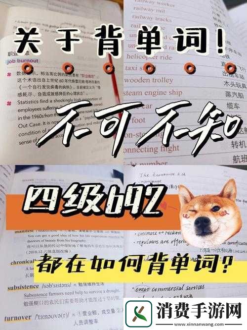 学渣坐学霸鸡上背单词趣事