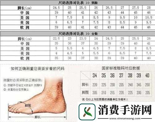 国产尺码和欧洲尺码表对照表对比一览
