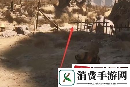 黑神话悟空沙门村宝箱位置在哪