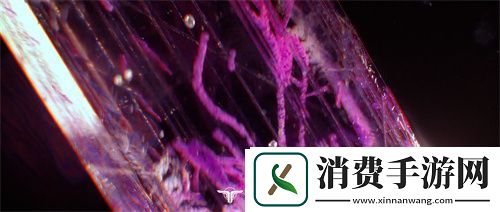 逆战十年