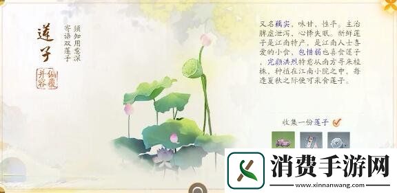 射雕手游赵王府梦华录怎么收集赵王府梦华录收集攻略