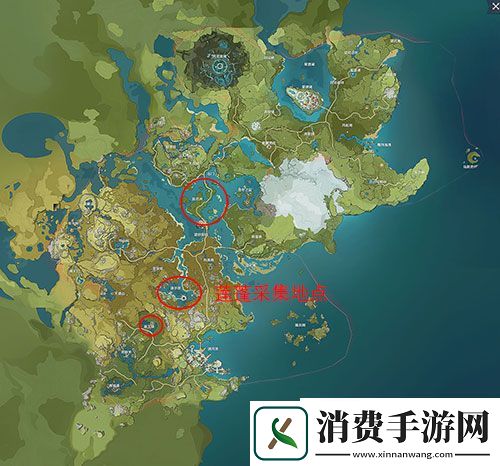 原神莲蓬在哪采集：莲蓬采集点位置介绍