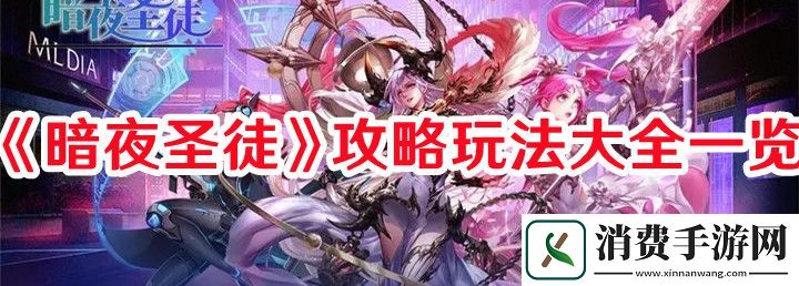 暗夜圣徒攻怎么玩-暗夜圣徒攻略玩法大全一览