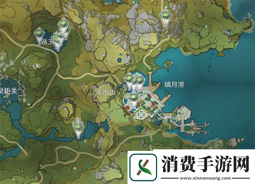 原神莲蓬在哪采集