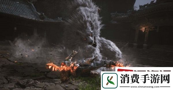 黑神话悟空酒品哪个好