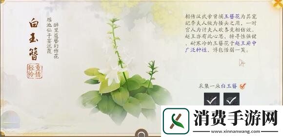 射雕手游赵王府梦华录怎么收集赵王府梦华录收集攻略