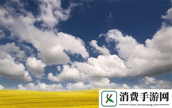 PYTHON人马兽：高效数据处理与分析工具