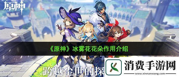 原神冰雾花花朵有什么用：冰雾花花朵作用介绍