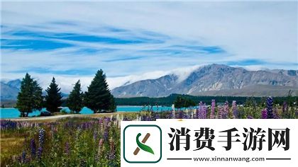 国产矿转码专一2023：技术进展与未来展望