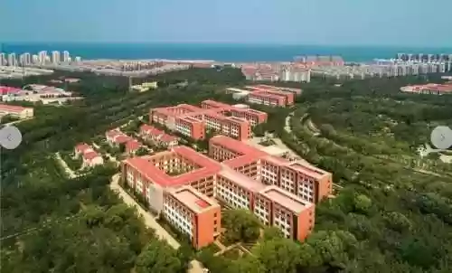 南山派阵容六道之门香行域阵容