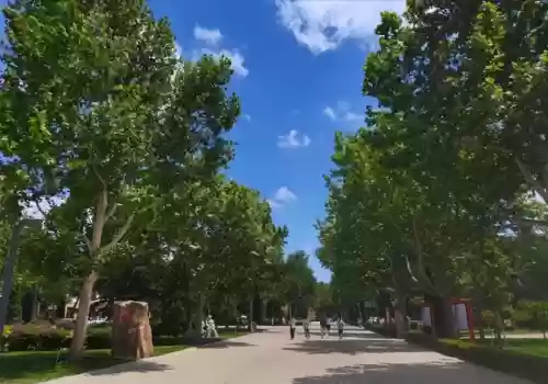 南山派阵容六道之门香行域阵容