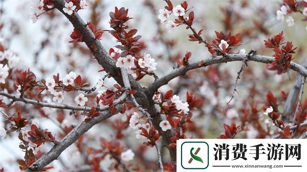 母与子性之间的可行性与必要性：如何优化母子关系促进家庭和谐